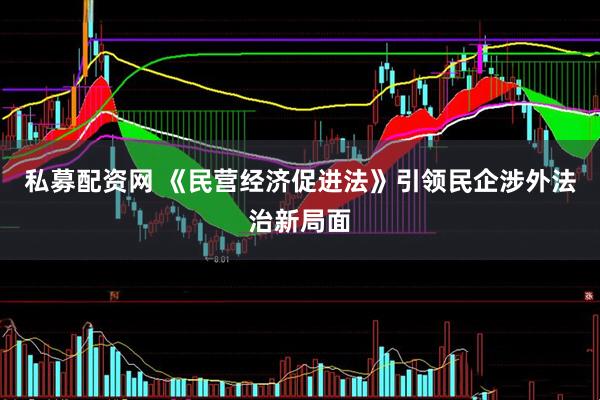 私募配资网 《民营经济促进法》引领民企涉外法治新局面